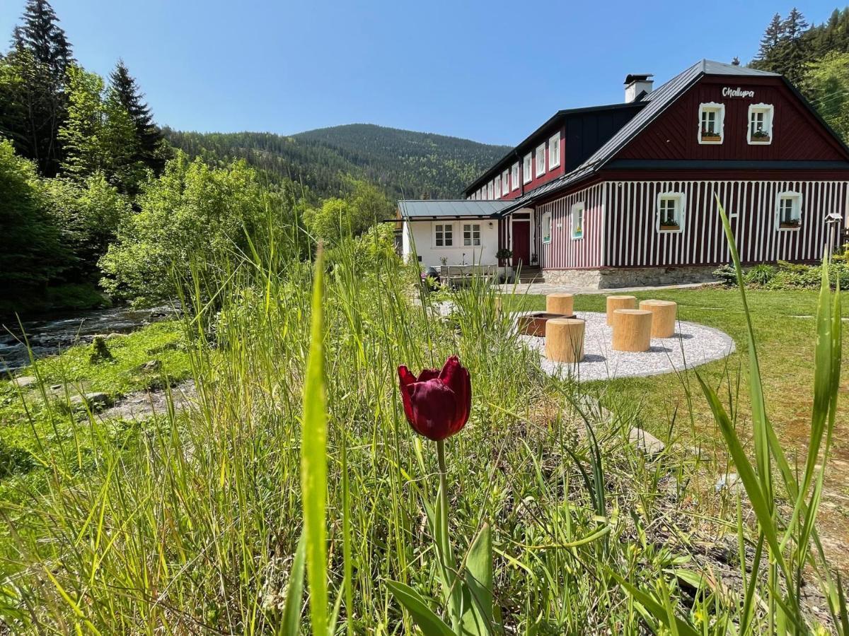 Apartmány CHALLUPA Horní Maršov Exterior foto